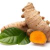 CURCUMA-LONGA.jpg